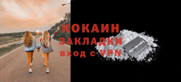 крисы Баксан