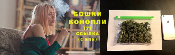 крисы Баксан