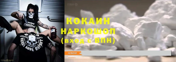 крисы Баксан