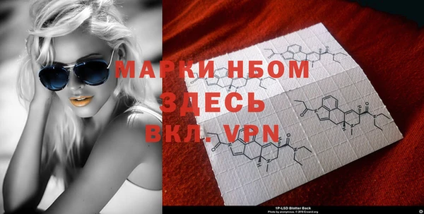 крисы Баксан