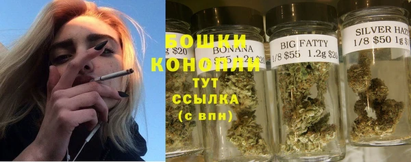 крисы Баксан