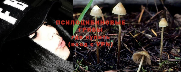 PSILOCYBIN Балахна
