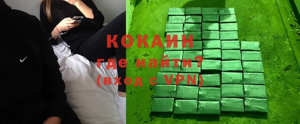 крисы Баксан