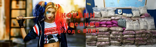 сатива Балабаново